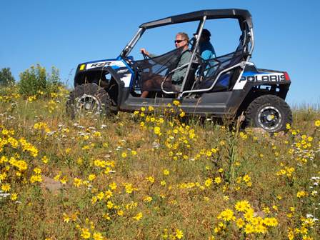 Polaris RZR 