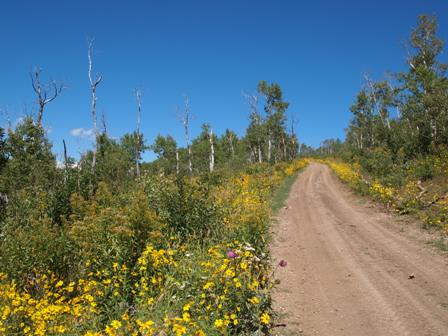 Utah dirt bike trails